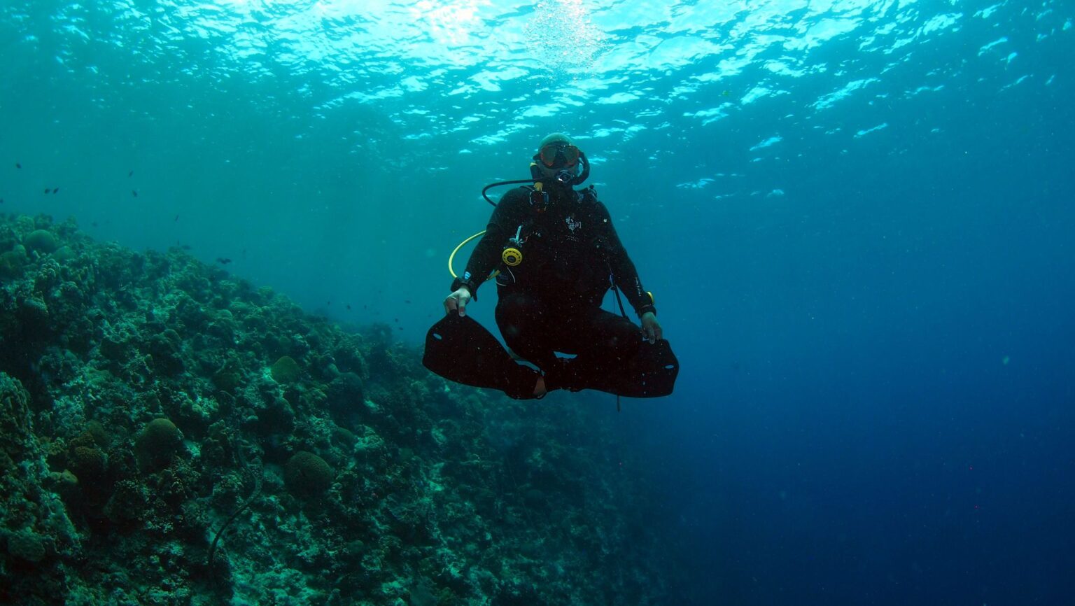 Scuba Diving - Cebu Neptune Diving Adventure, Inc.